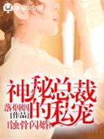 閃婚陸少私寵