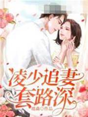 凌少宠妻有招