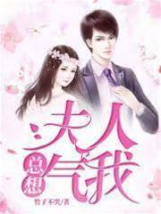 夫人偏要惹我
