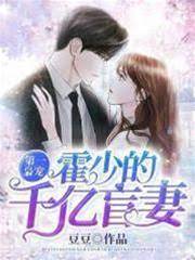 霍少的替嫁盲妻