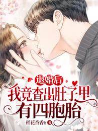 退婚后怀上四宝