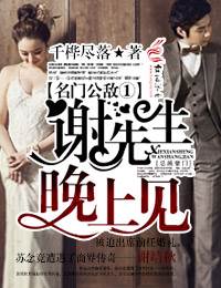 謝先生，夜裡見