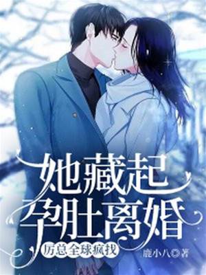 藏孕離婚厲總瘋找