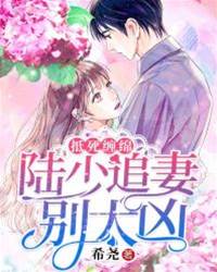 陆少追妻太疯