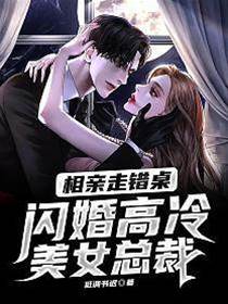 相親走錯桌,閃婚高冷美女總裁