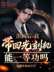 出國后,我帶回光刻機能一等功嗎