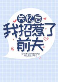 失忆后撩了前夫
