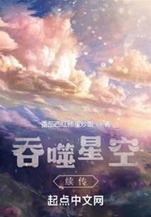 吞噬星空後傳之起源大陸