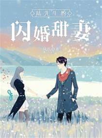 陸先生閃婚成寵