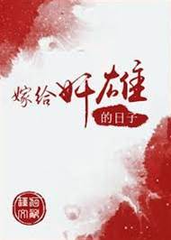 嫁作奸雄妻
