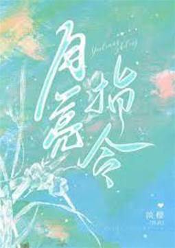 月光指令