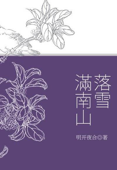 南山雪满