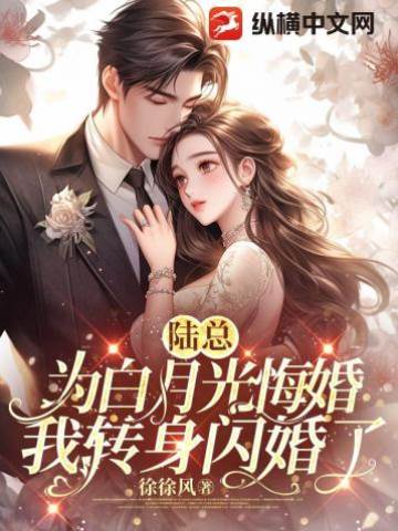 悔婚後我閃婚了
