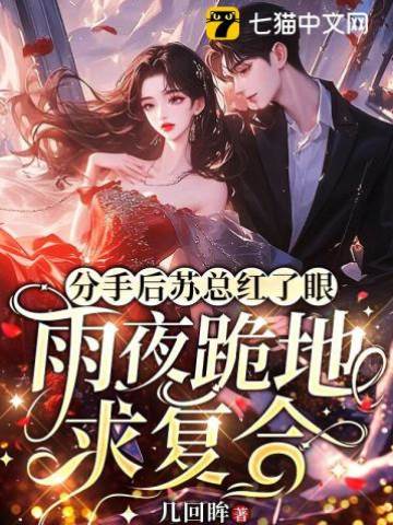 蘇總雨夜求復合