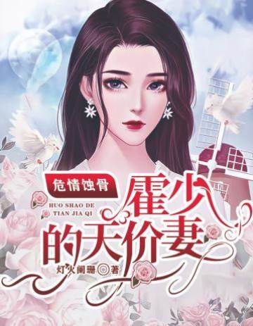 霍少追妻成殇