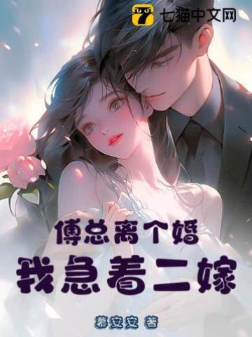 傅總離婚我要嫁