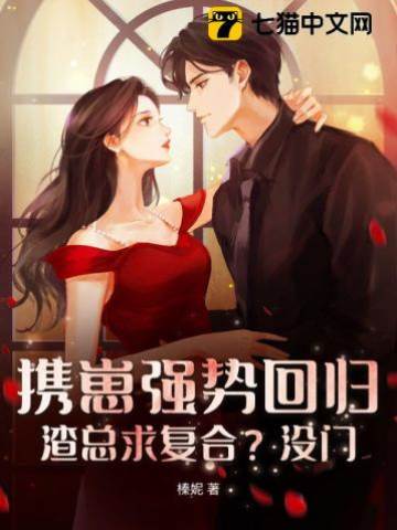 攜崽歸來前夫別追