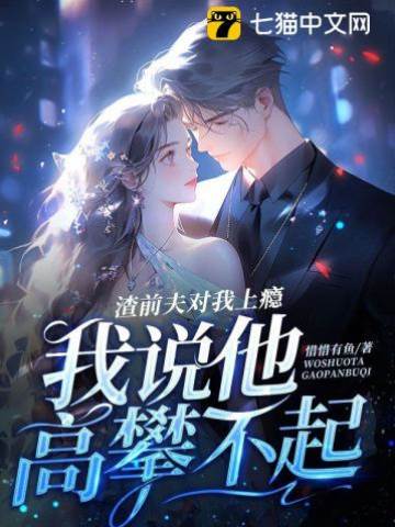前夫追妻高攀不起