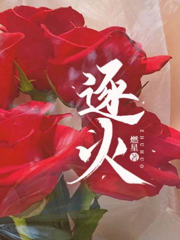 暗夜逐火