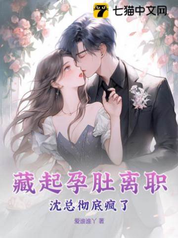 藏孕离职沈总疯了