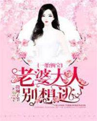 萌宝助攻追妻难