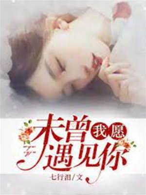 我愿未曾遇見你