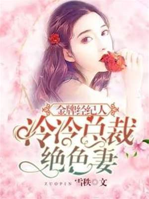 冷總裁的金牌妻