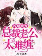 閃婚獨寵：總裁老公太難纏