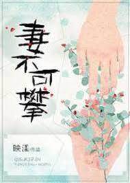 妻不可攀
