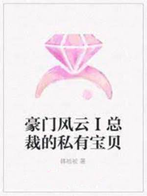总裁的隐秘宝贝