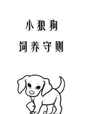 小狼狗飼養守則