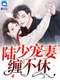 陸少纏妻上癮