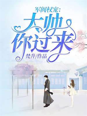 大帥，請過來