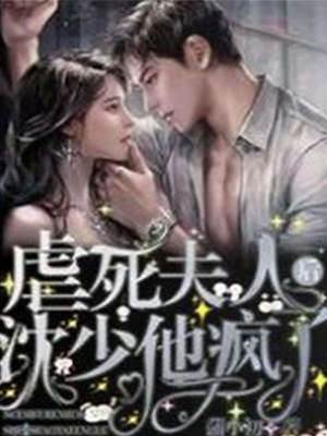 夫人走后沈少疯了