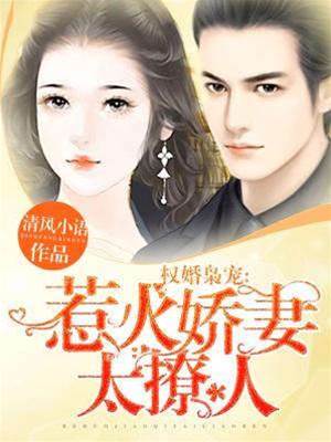 權寵撩妻上癮