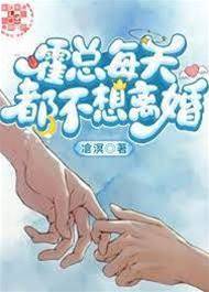 霍總每天都不想離婚