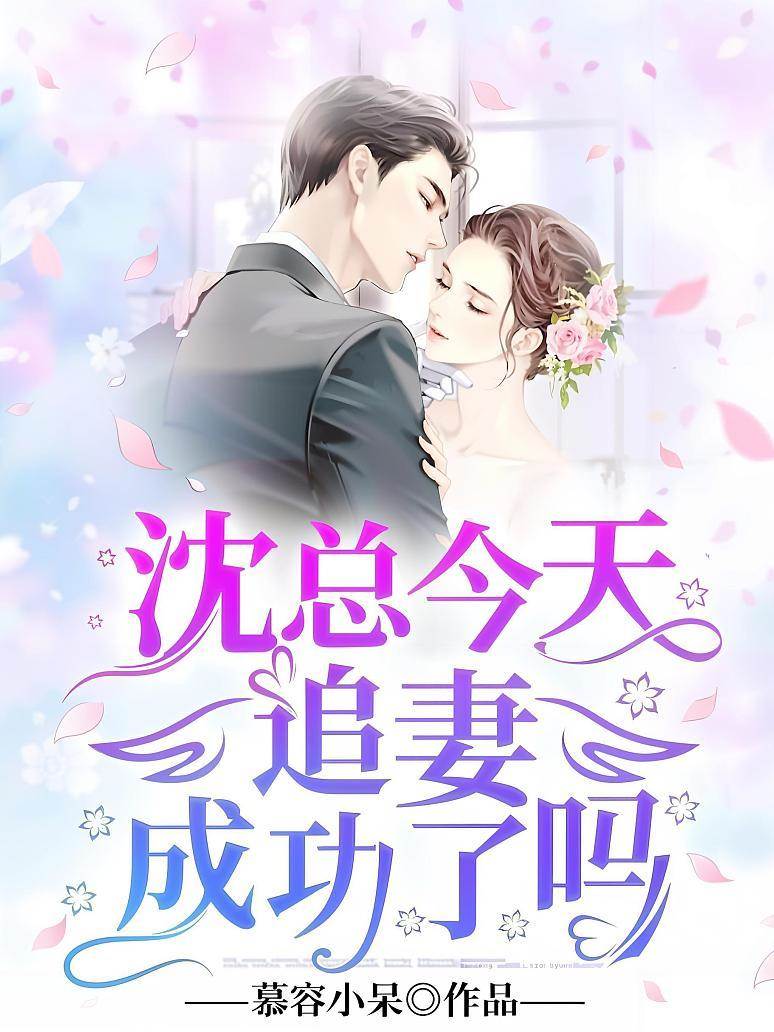 沈總追妻進度