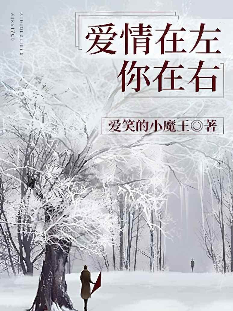 你是我的南墻