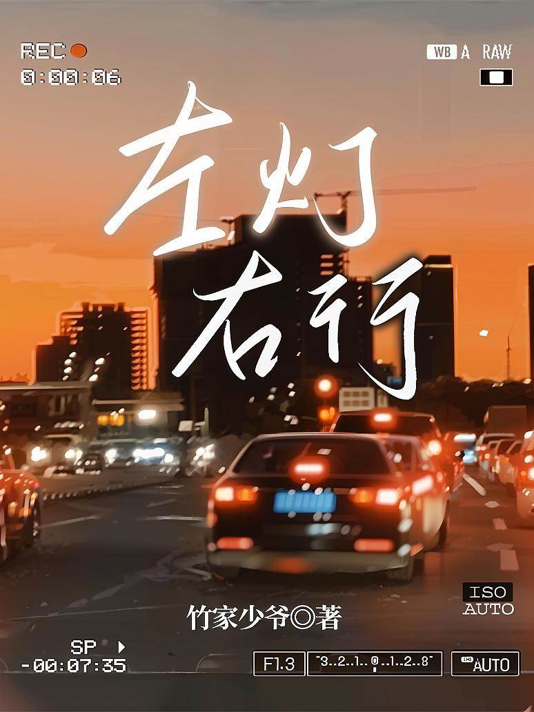 左燈右行