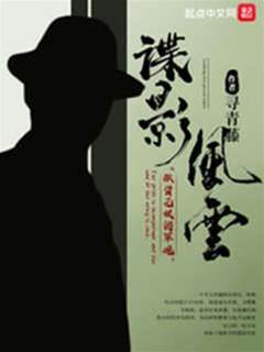 諜影風雲(民國諜影)
