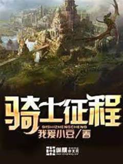 騎士征程