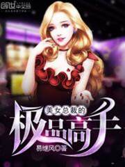 美女總裁的極品高手
