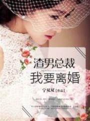 總裁逼我離婚