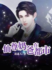 仙尊奶爸在都市