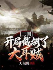 三國：開局截胡了大耳賊