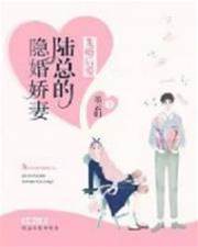 陸總隱婚成癮