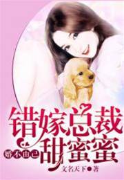 錯嫁總裁甜蜜寵