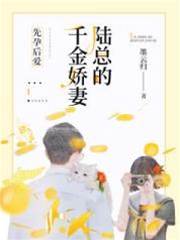 先孕後愛陸總寵妻