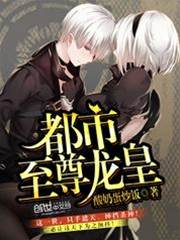 都市至尊龍皇