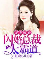 閃婚總裁寵成癮